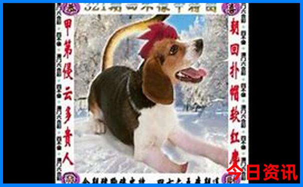 锦州好玩的旅游景点